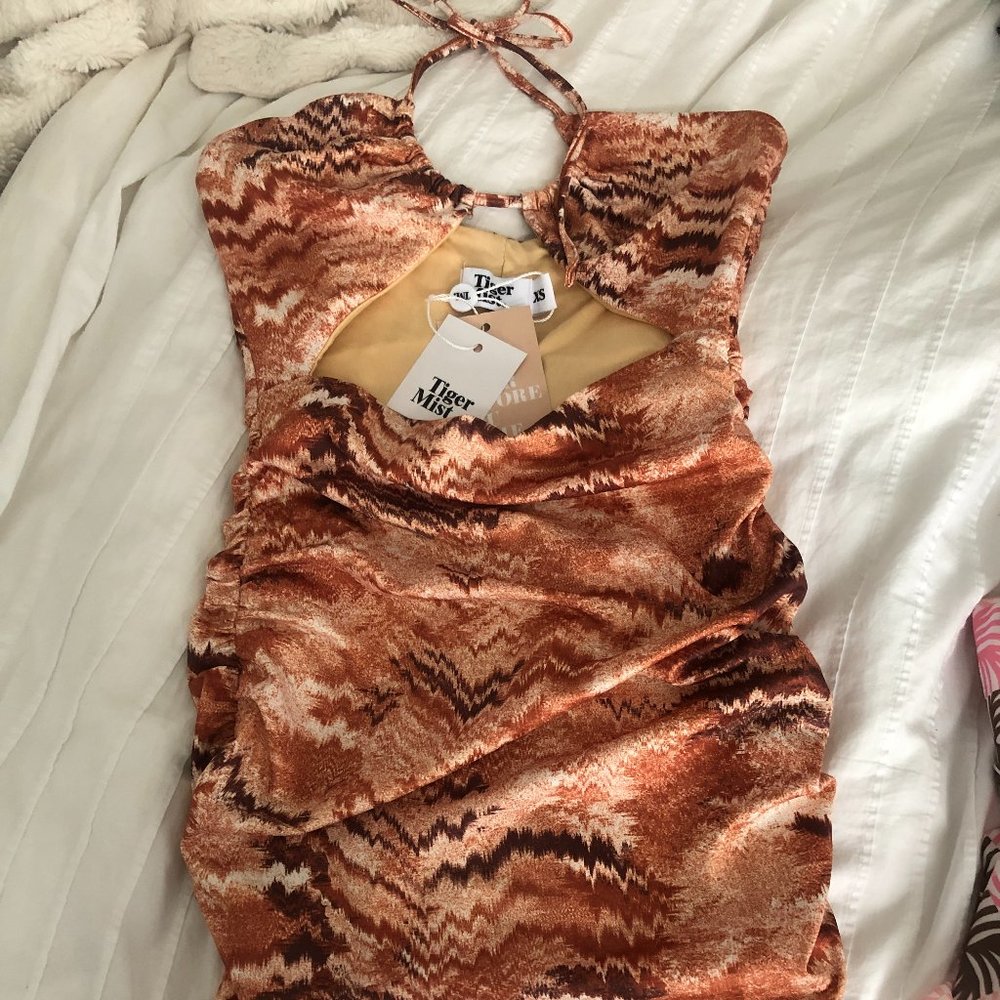 TigerMist Mini Dress